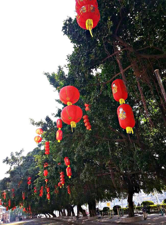 20140122_134219.jpg
