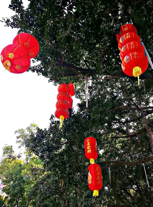 20140122_133608.jpg