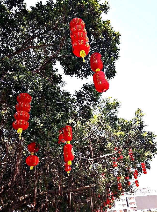 20140122_133633.jpg