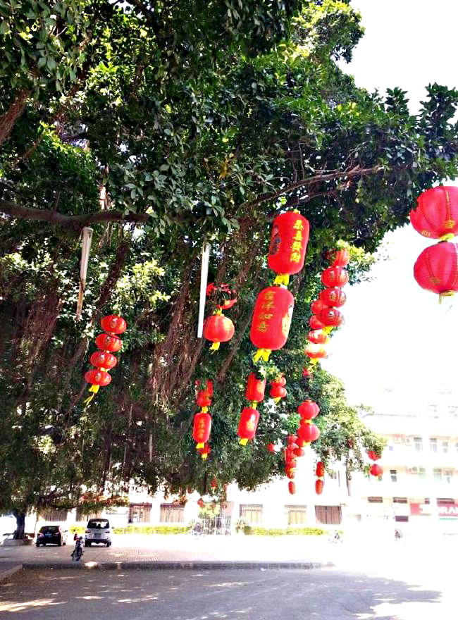 20140122_134155.jpg