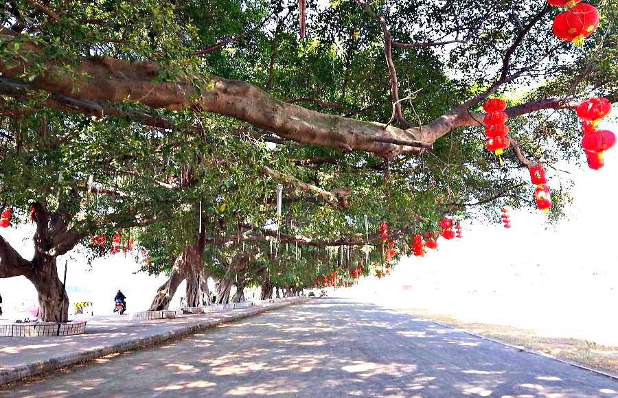 20140122_133715.jpg