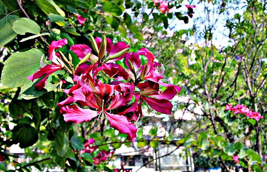 IMG_3977.JPG
