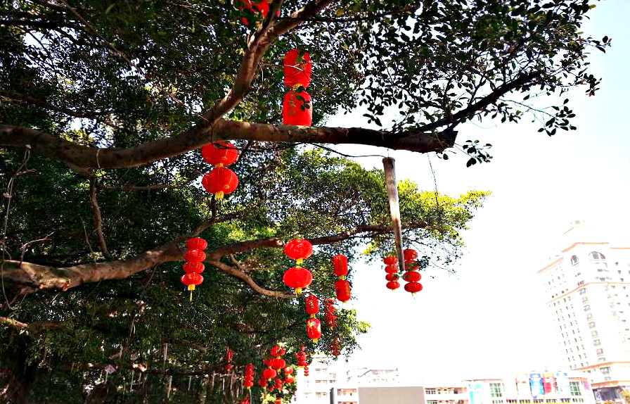 20140122_133706.jpg