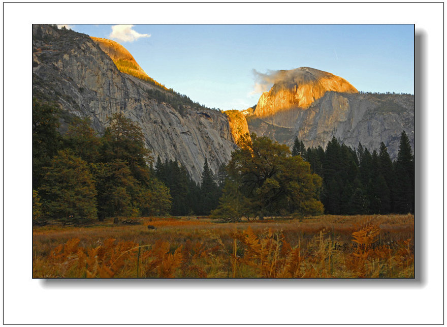 6a1 copy_����.jpg