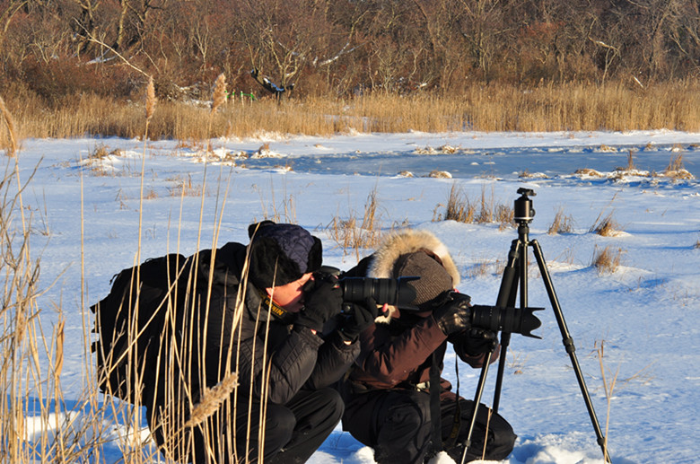 ��Ƭ 259_����.jpg