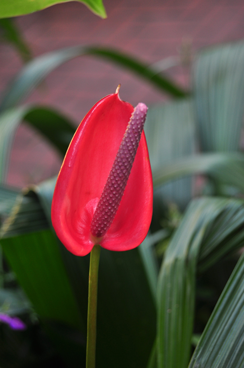 ��Ƭ 025_����.jpg