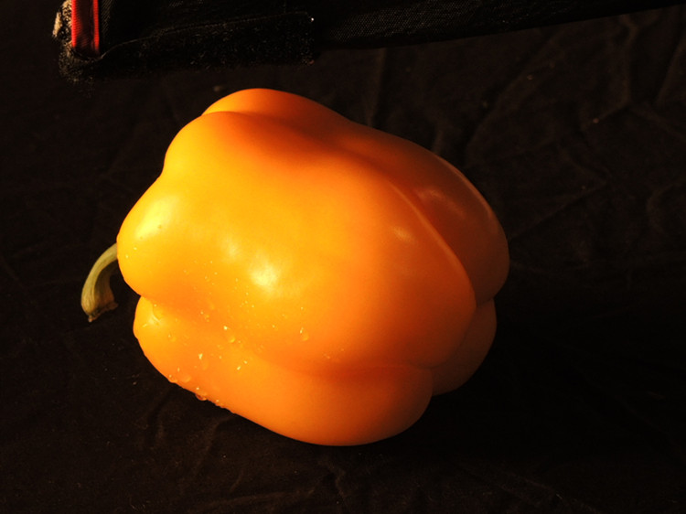 DSCN3569_.jpg