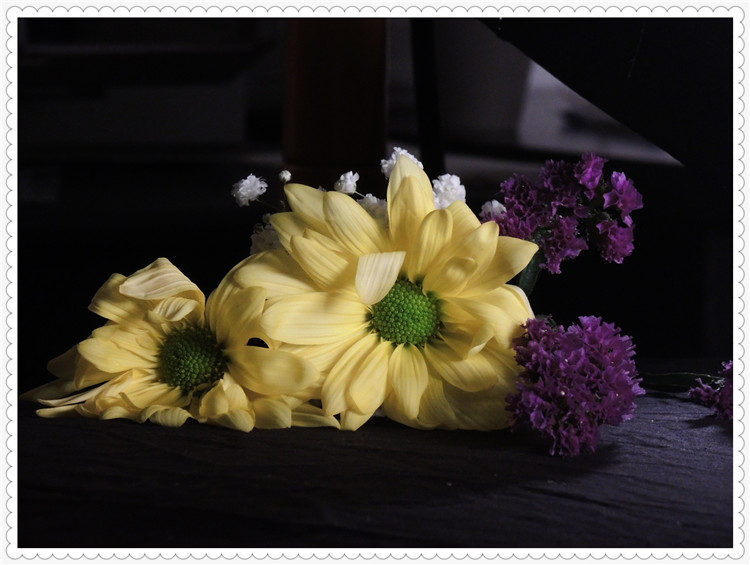 DSCN3541.jpg