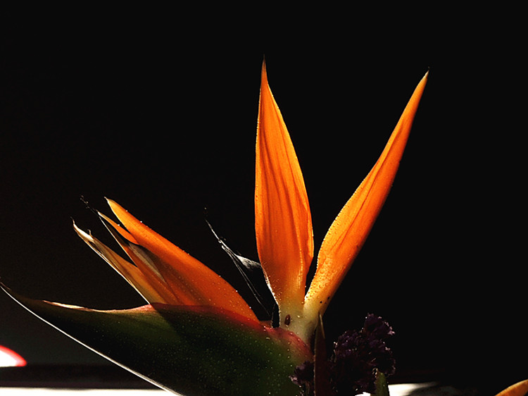 DSCN3471_.jpg