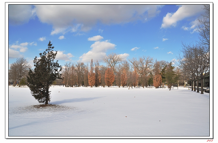 ѩ(2014)-1 292-1.jpg