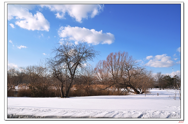 ѩ(2014)-1 392-1.jpg