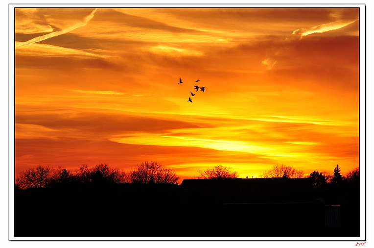 ѩ(2014)-1 398-1.jpg