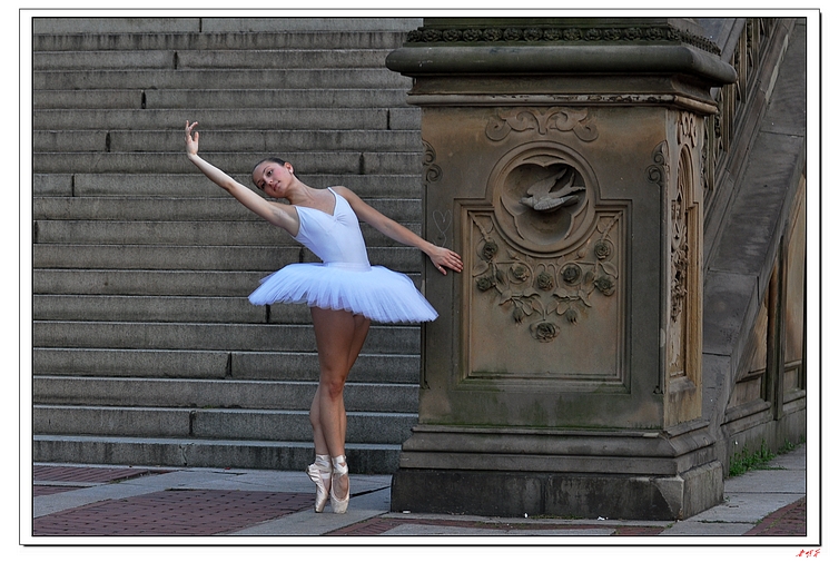 ����-38 377-1.jpg