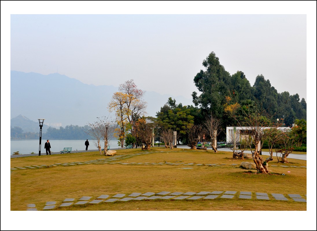 DSC_8479_conew1.jpg