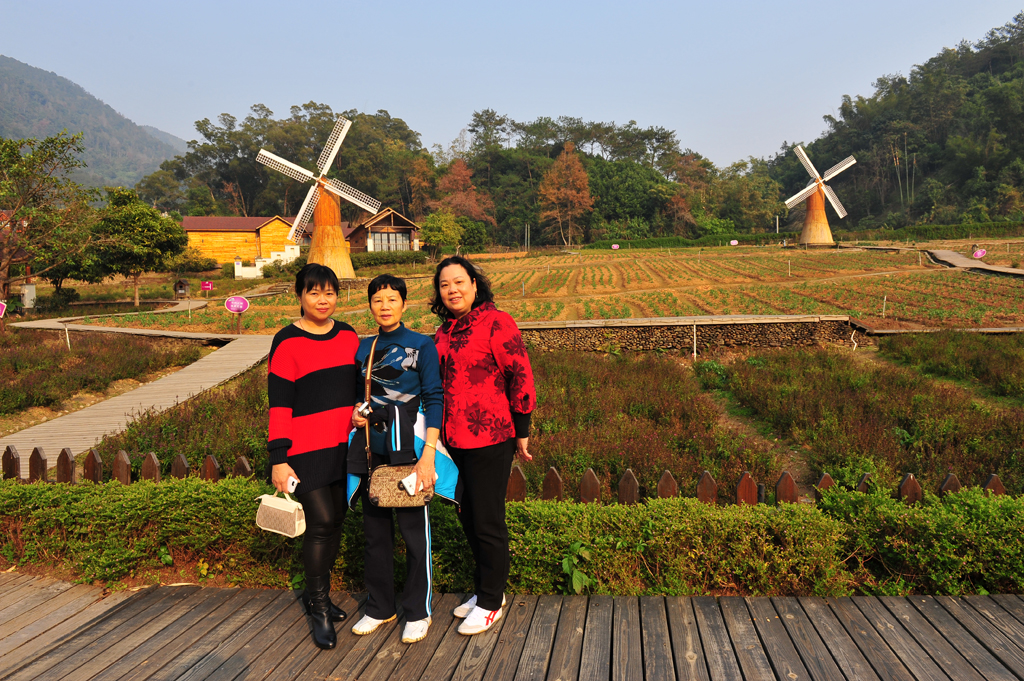 DSC_8444.JPG