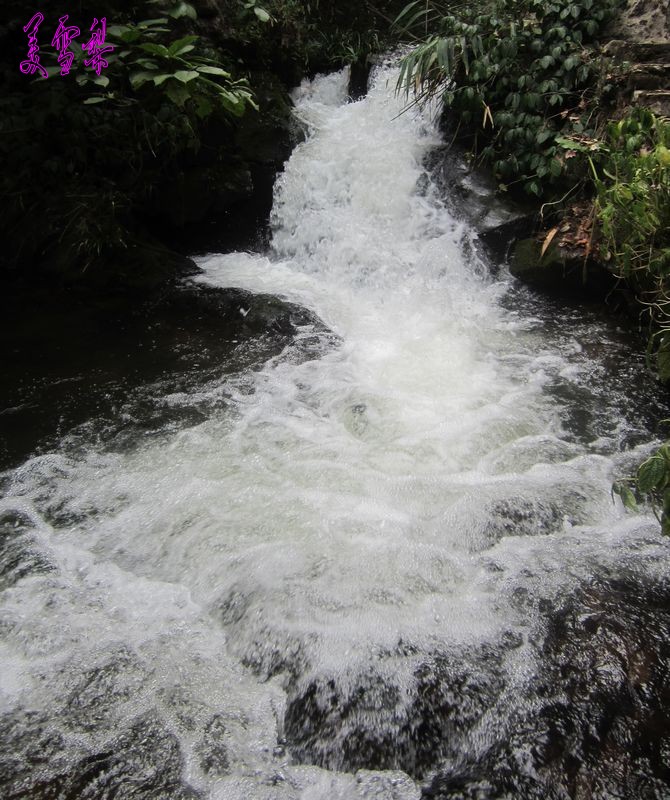 IMG_6032_conew1.JPG