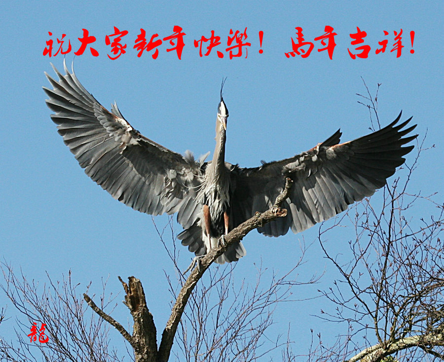 IMG_1437.jpg