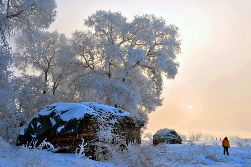 NSH_2460aa.jpg