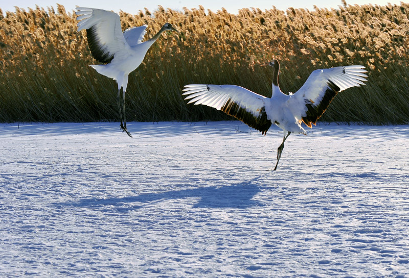 301_5822aa.jpg
