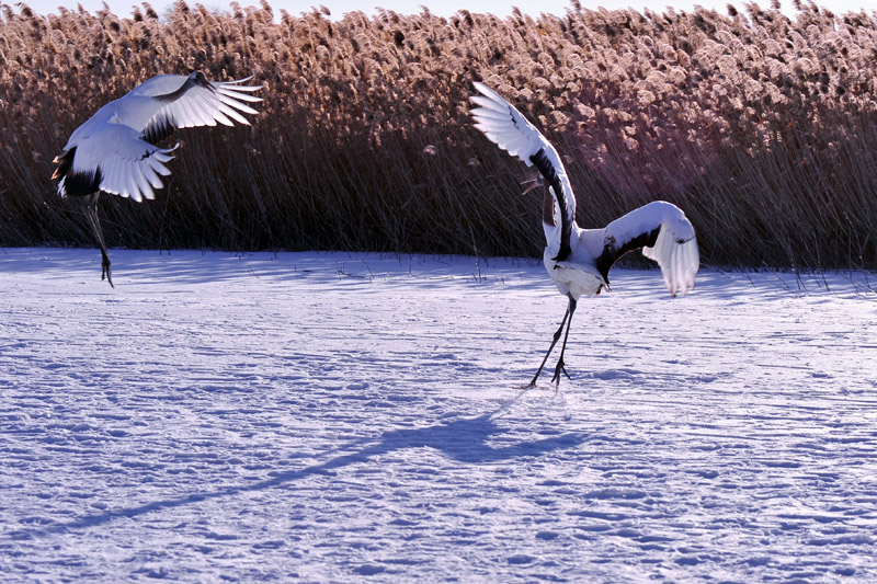 301_5818aa.jpg