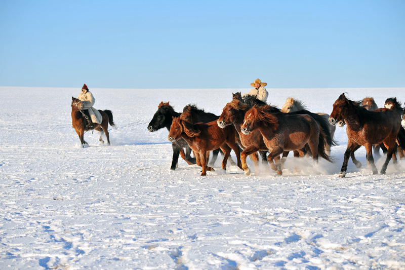 NSH_9862aa.jpg