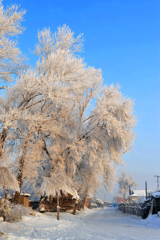 NSH_2469aa.jpg