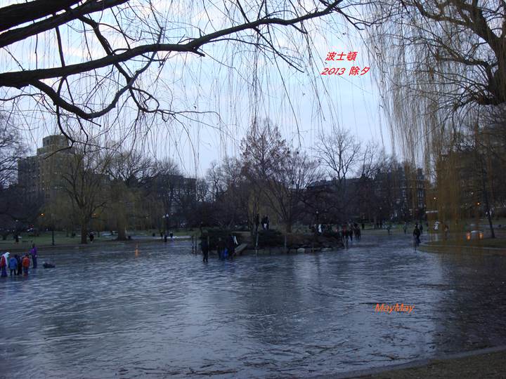 DSC03547_.jpg