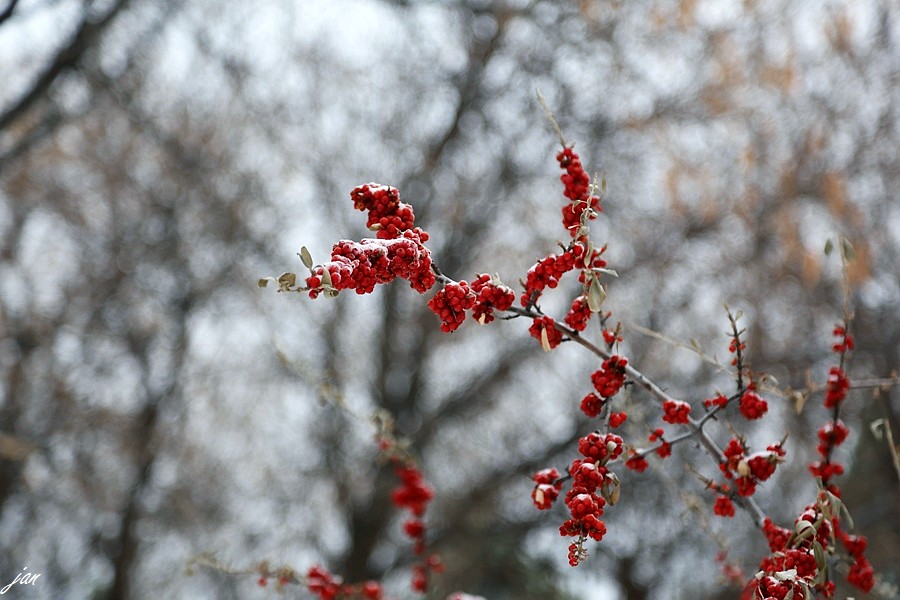IMG_6747=.jpg
