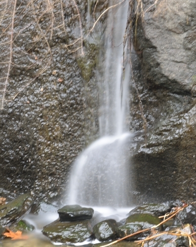 _DSC0667_1.JPG