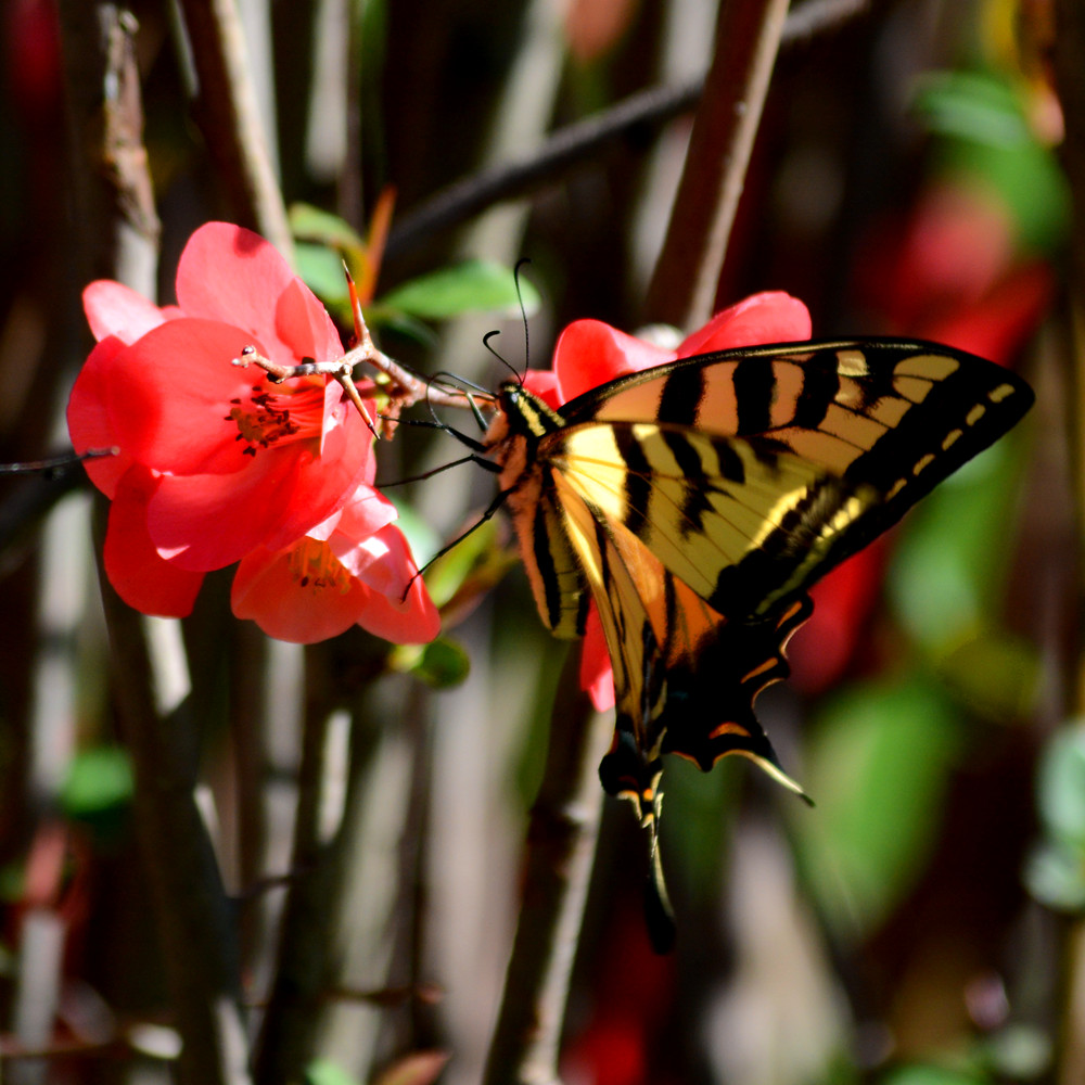 DSC_8199_9.jpg