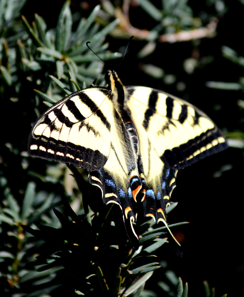 DSC_8284_32.jpg