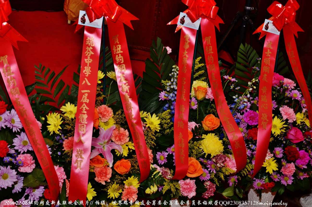 DSC_3072 (1300x861).jpg