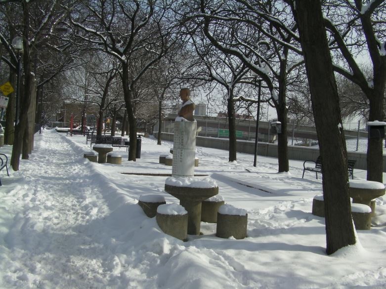 Chicago_snow_2014_22.JPG