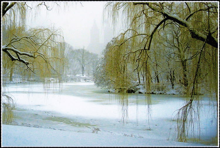 DSCN9870a_.jpg