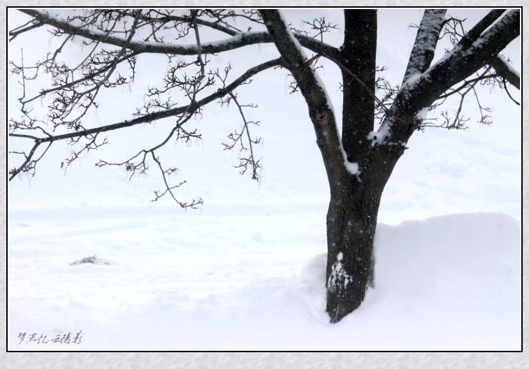 20140219 015_conew1.jpg