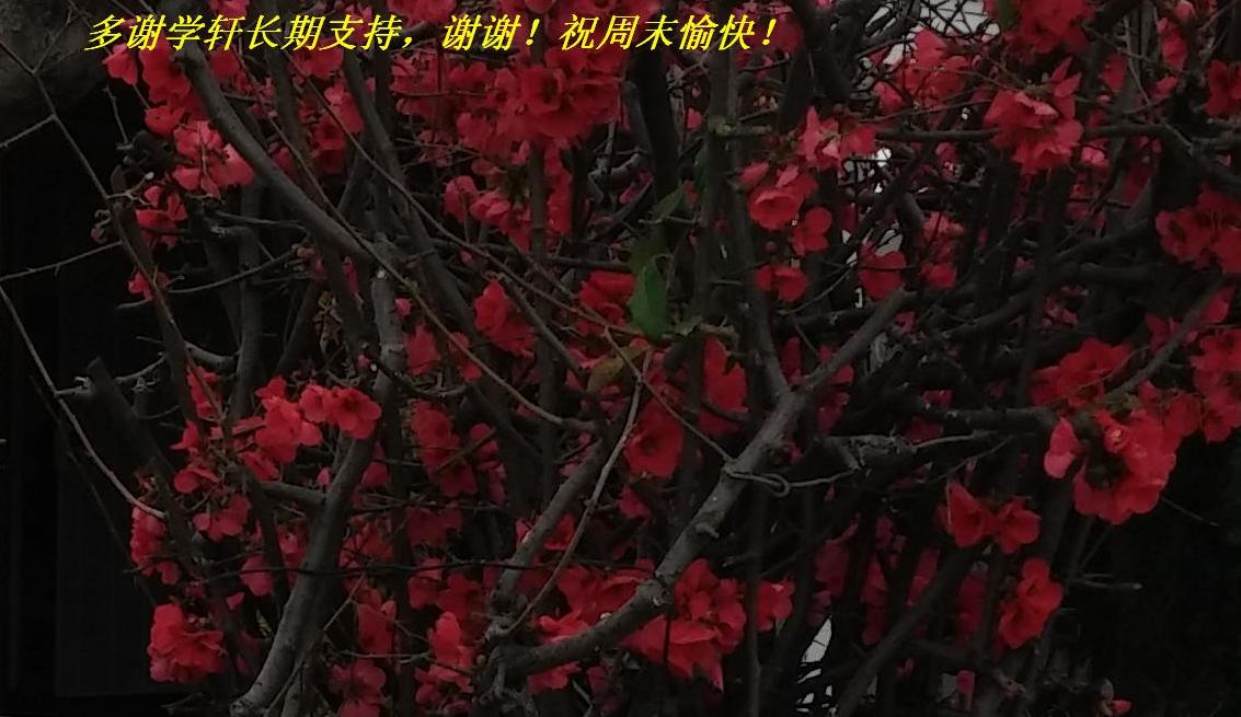лѧ֧֣ллףĩ죡.JPG