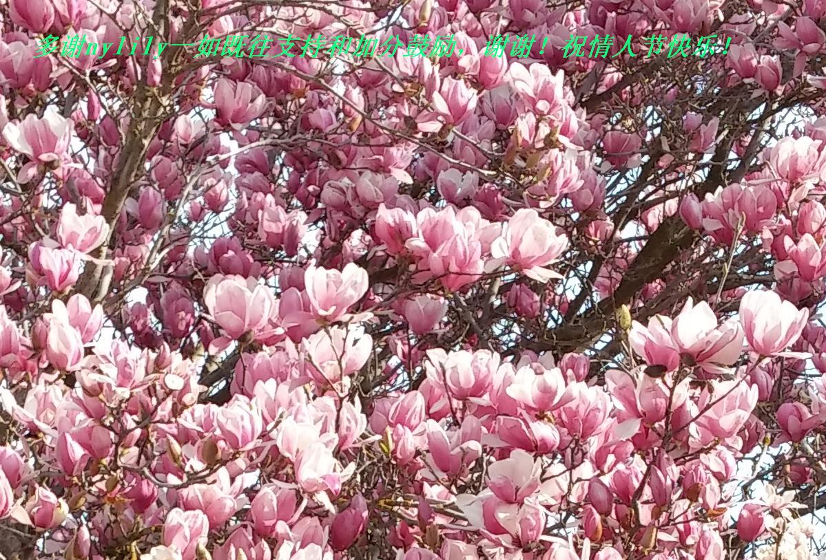 лnylilyһֺ֧ͼӷֹллף˽ڿ֣.JPG