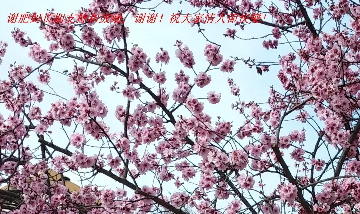 л賤ֺ֧͹, ллף˹옷!.JPG