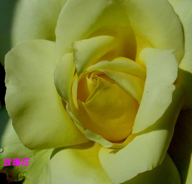 IMG_0001_6717.jpg