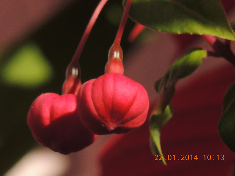 184_35925_1d88ee1f4d8b060.jpg
