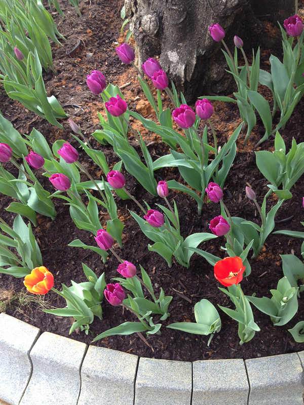 IMG_1591_.jpg