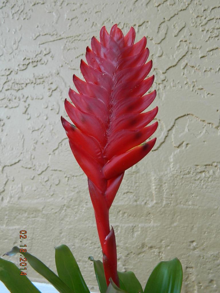 DSCN3708.JPG