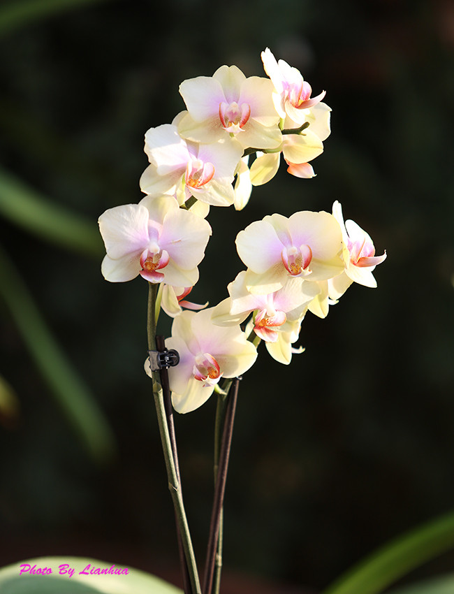 IY7A0468-2-2_.jpg