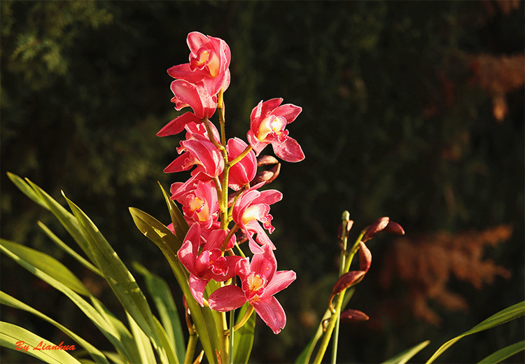 IY7A0457-2-2_.jpg