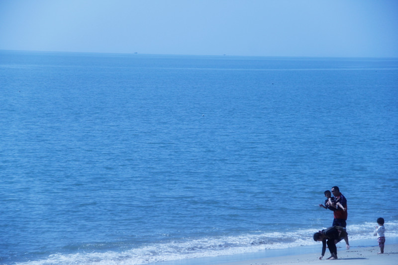 _MG_84472014--2--2_.jpg