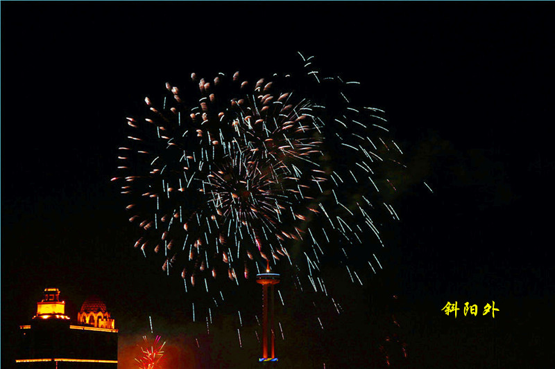 _MG_81002014--2--2_.jpg