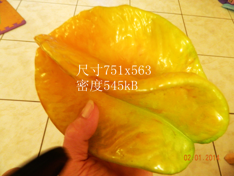 DSCN3563_.jpg
