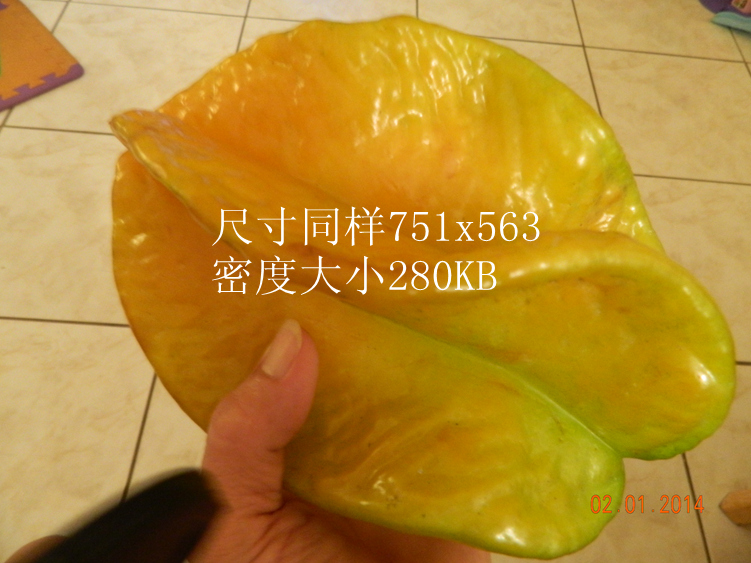 DSCN3563__.jpg
