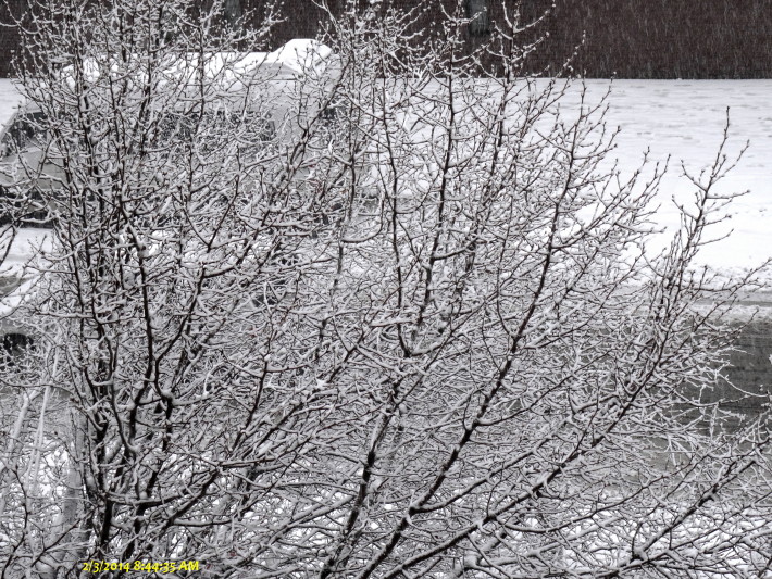 IMG_0001_6663.jpg