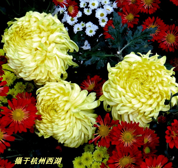 IMG_0001_6196.jpg